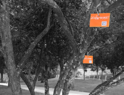 Dime – Intervention in the garden of Turia
